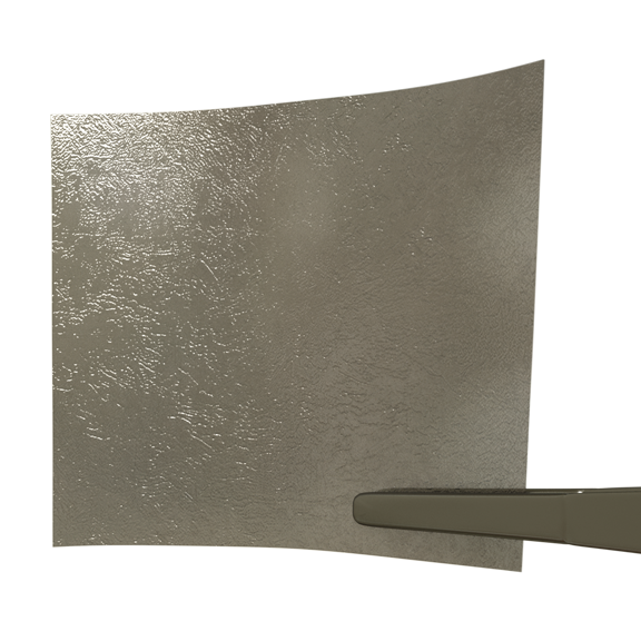 completeFT placental allograft skin graft